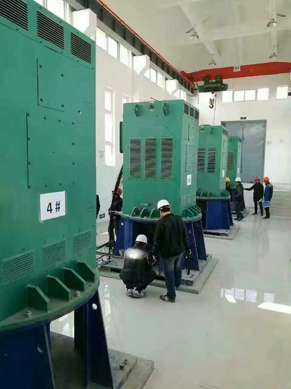 寿宁某污水处理厂使用我厂的立式高压电机安装现场