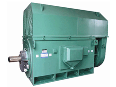 寿宁Y系列6KV高压电机